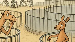 Vicc: Kenguru kijut a karámból…